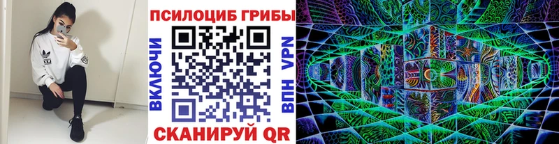 OMG вход  закладки  Аткарск  Галлюциногенные грибы MAGIC MUSHROOMS 